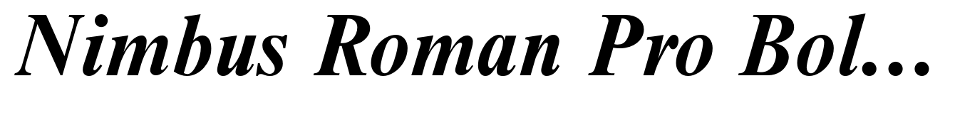 Nimbus Roman Pro Bold Italic (D)